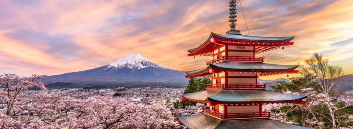 A year-round travel guide for Japan-lovers